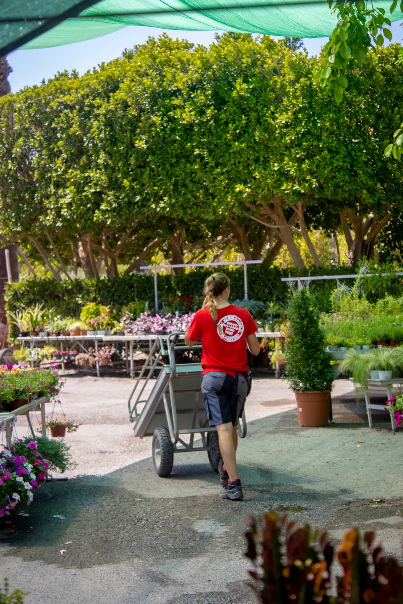 Equipo trabajando con carretillas en Garden Center Navarro