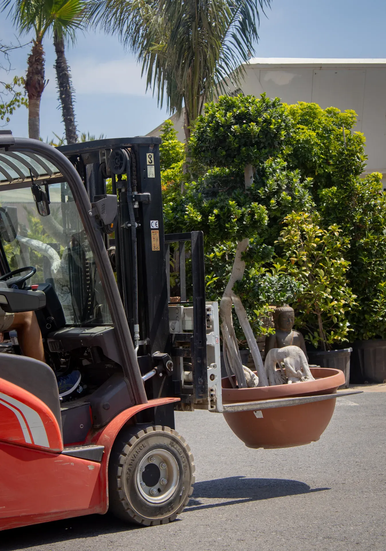 Equipo transportando árboles en Garden Center Navarro