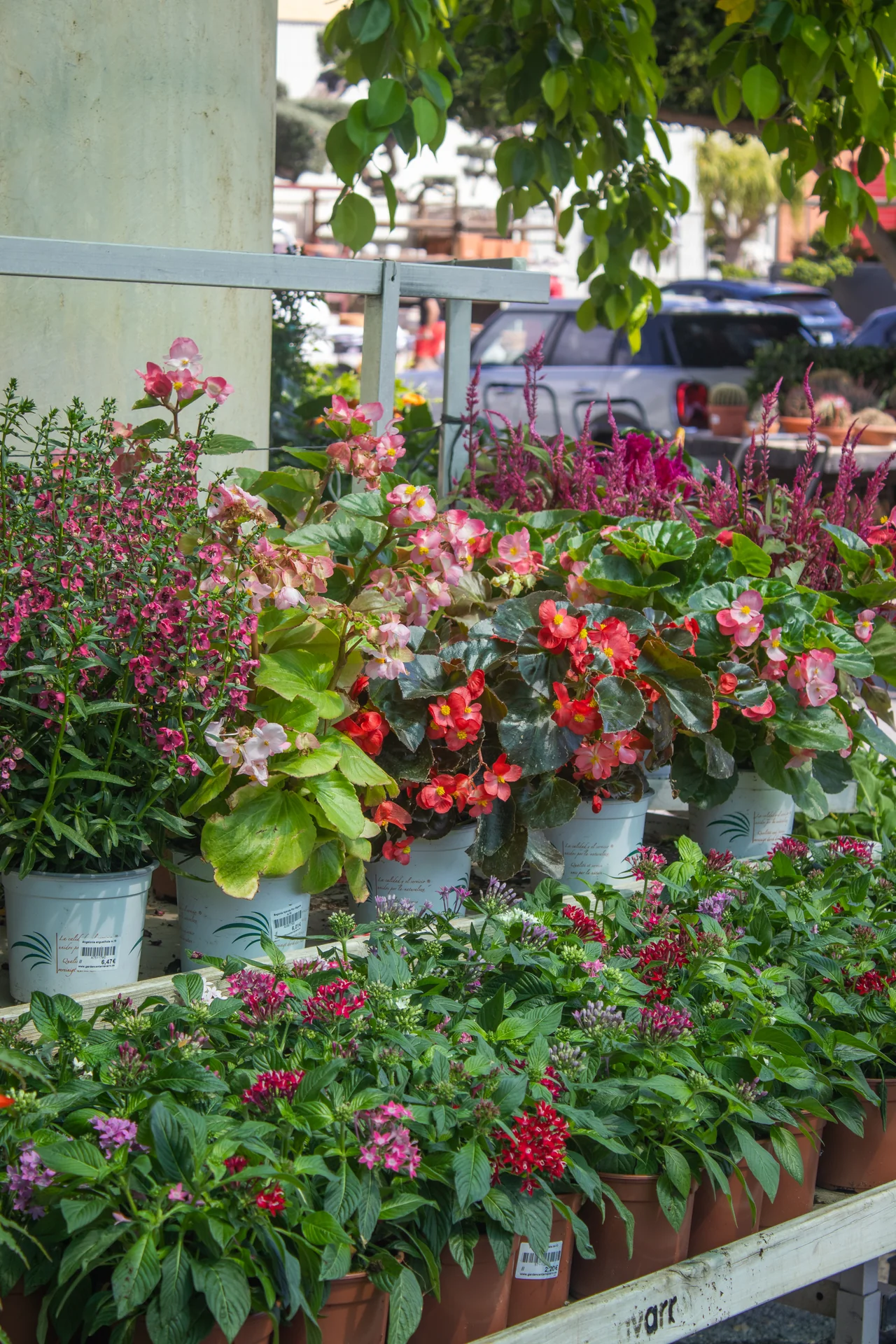 Plantas Artificiales